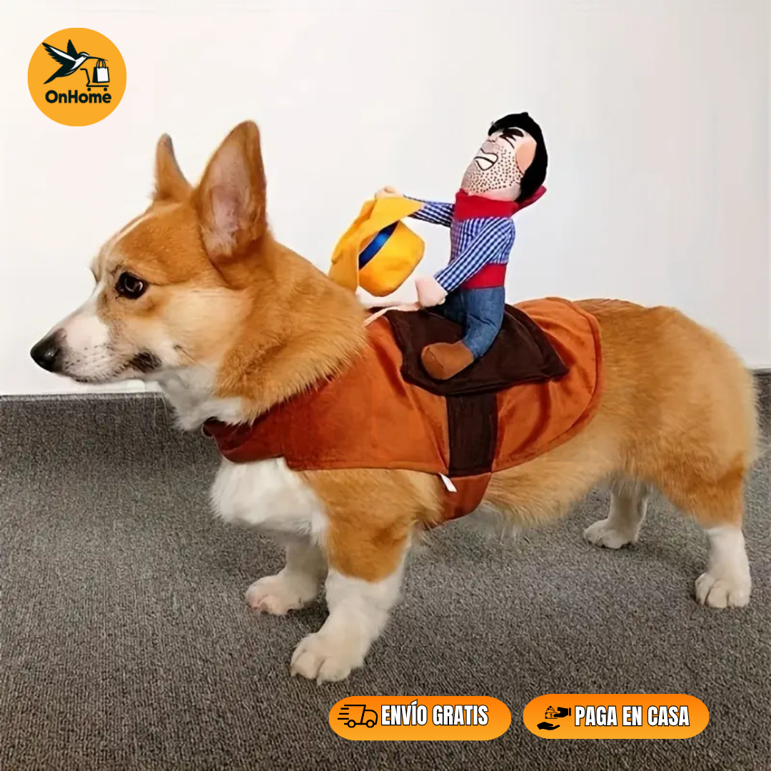 DISFRAZ DE JINETE PARA TUS MASCOTAS (🐶🐱)