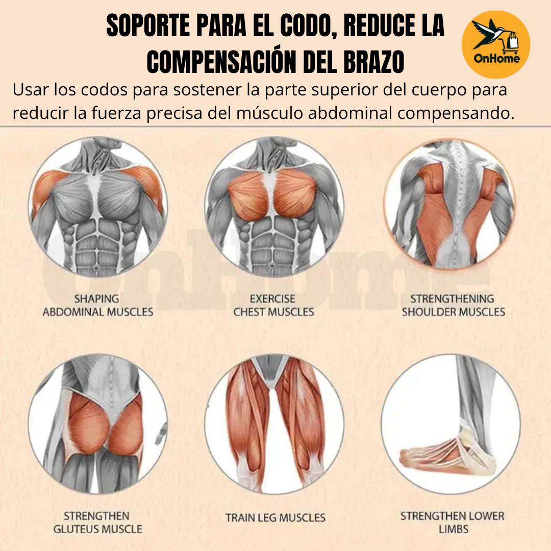 RUEDA ABDOMINAL DOBLE CON TECNOLOGÍA DE REBOTE AUTOMÁTICO