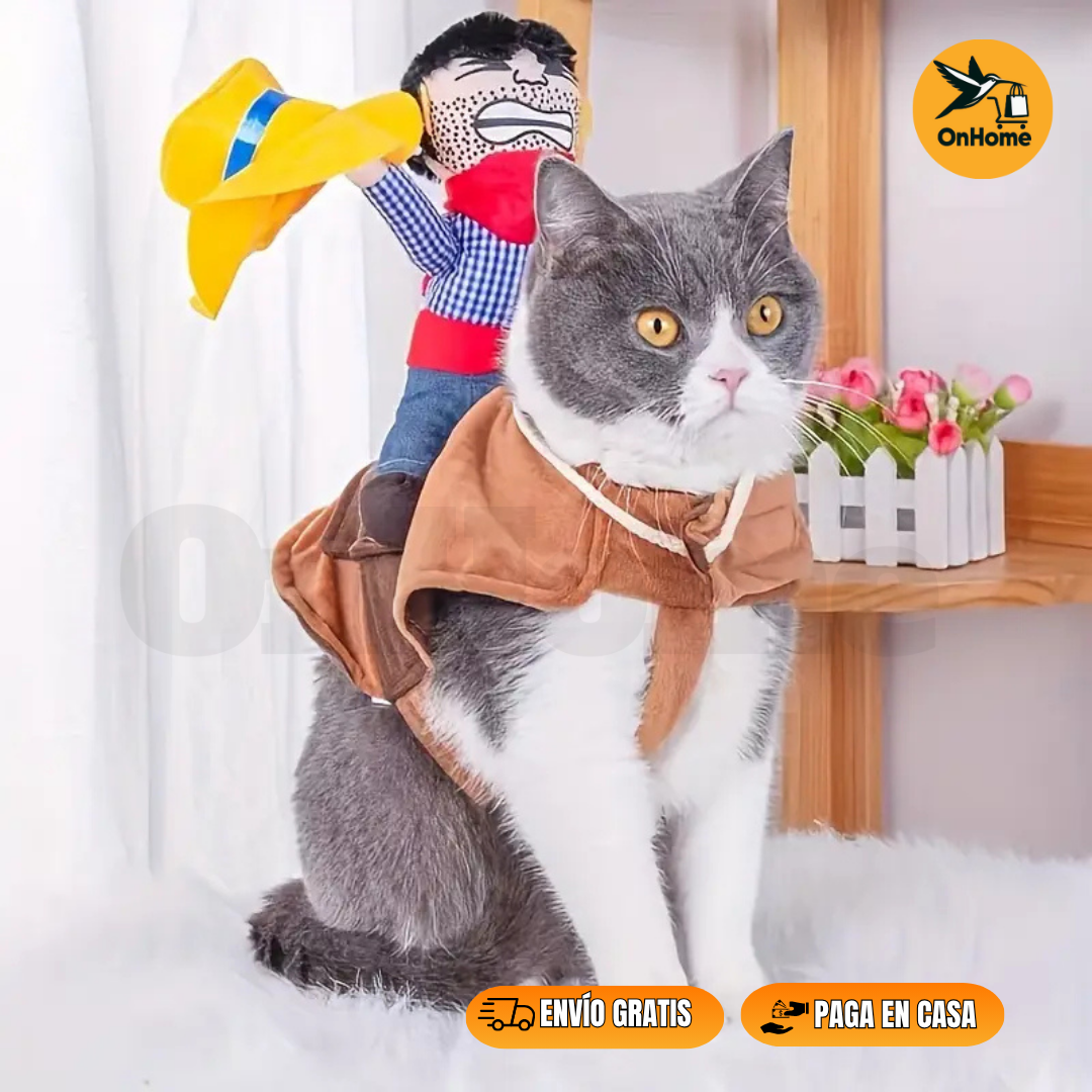 DISFRAZ DE JINETE PARA TUS MASCOTAS (🐶🐱)