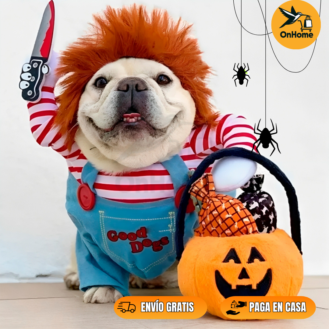🕸️DISFRAZ DE CHUCKY PARA TUS MASCOTAS 👻(Perros🐶 y Gatos🐱)