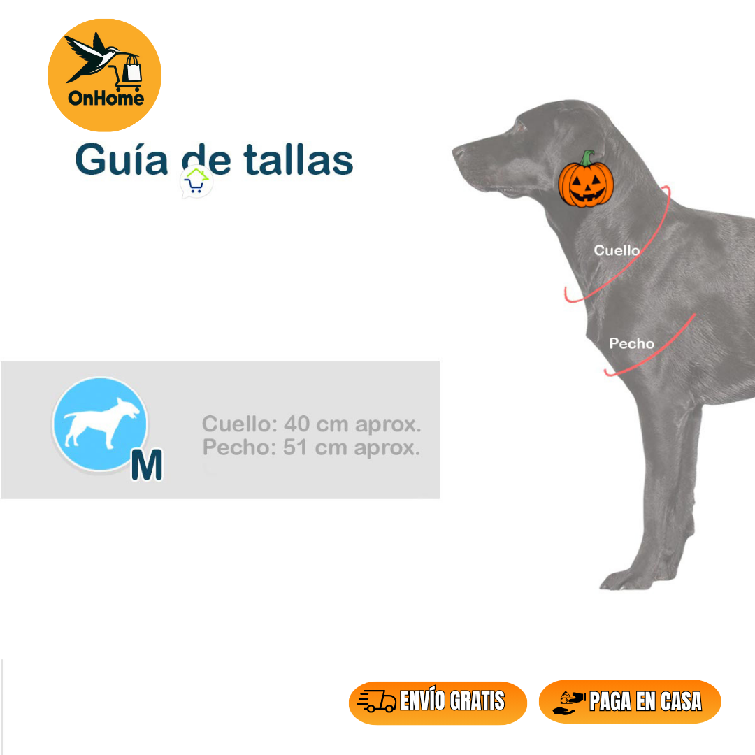 DISFRAZ DE VAQUERO ⭐SHERIFF⭐🐱🐶