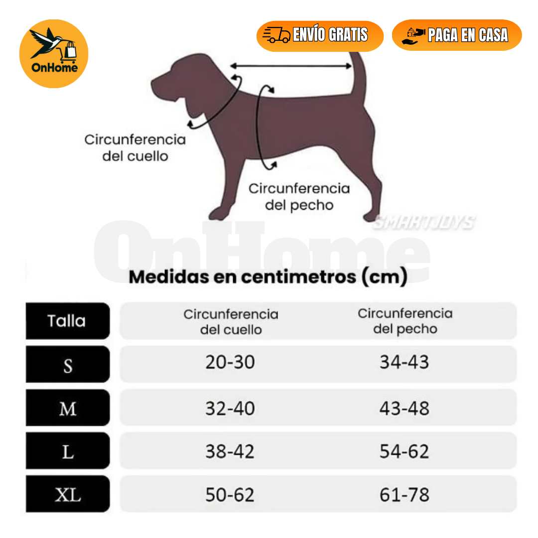 DISFRAZ DE JINETE PARA TUS MASCOTAS (🐶🐱)