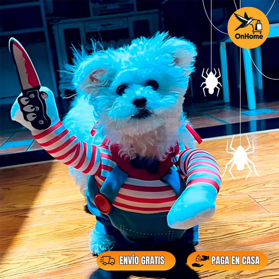 🕸️DISFRAZ DE CHUCKY PARA TUS MASCOTAS 👻(Perros🐶 y Gatos🐱)