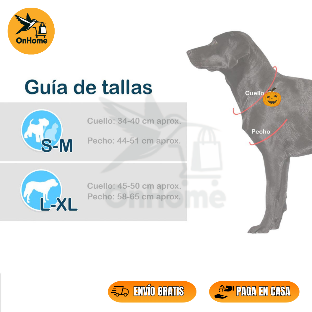 🕸️DISFRAZ DE CHUCKY PARA TUS MASCOTAS 👻(Perros🐶 y Gatos🐱)