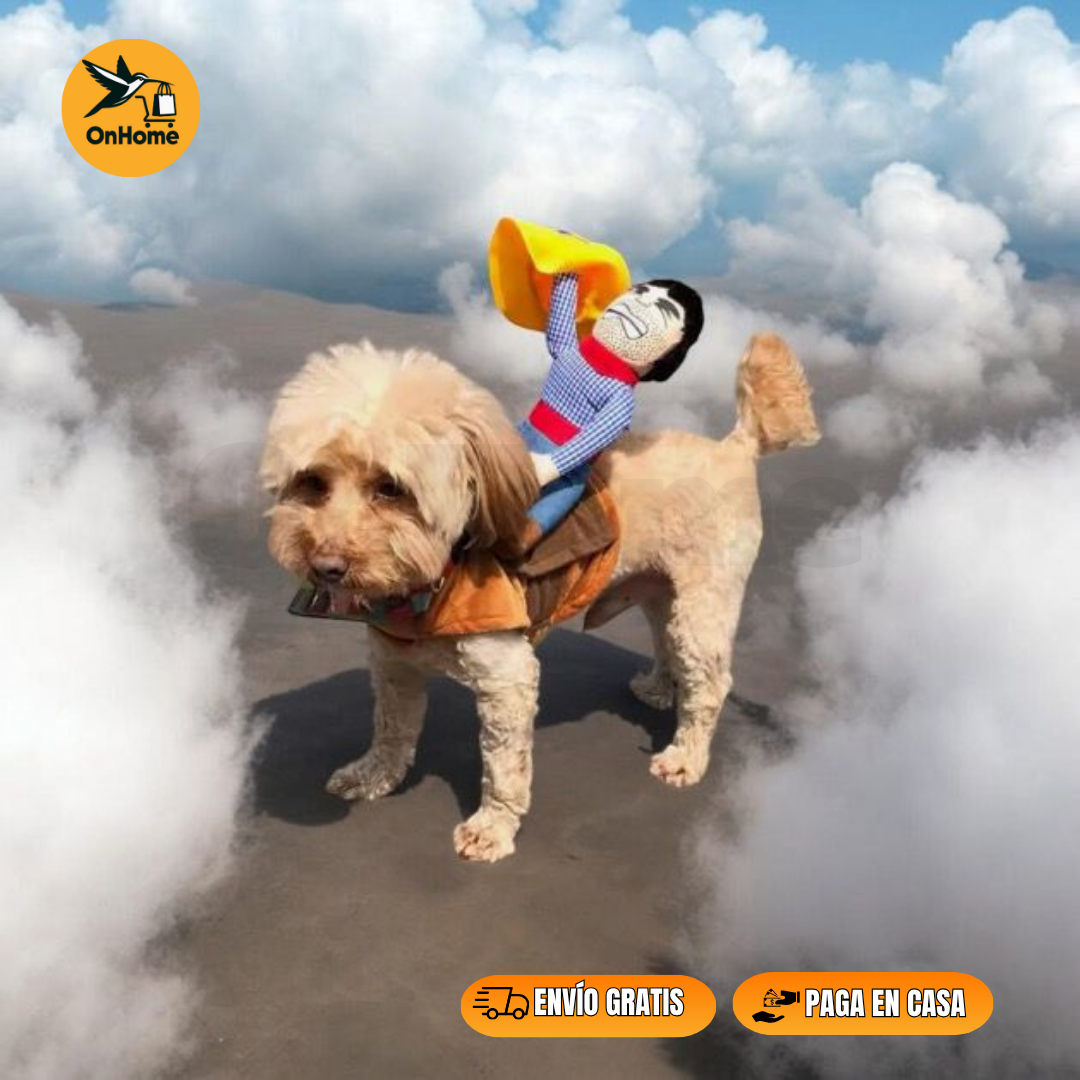 DISFRAZ DE JINETE PARA TUS MASCOTAS (🐶🐱)