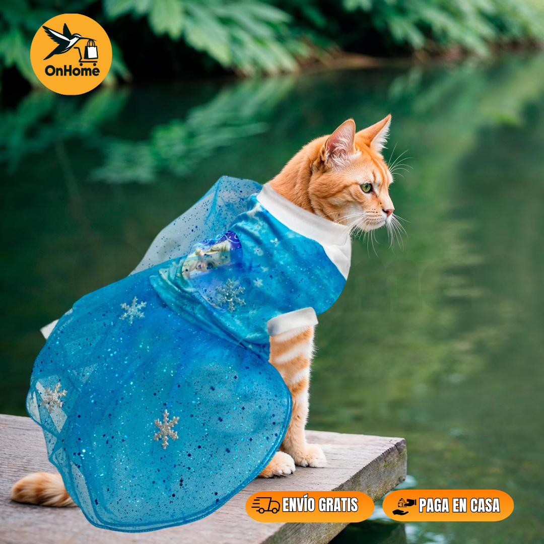 DISFRAZ DE ELSA PARA TUS PELUDITOS 🐱🐶
