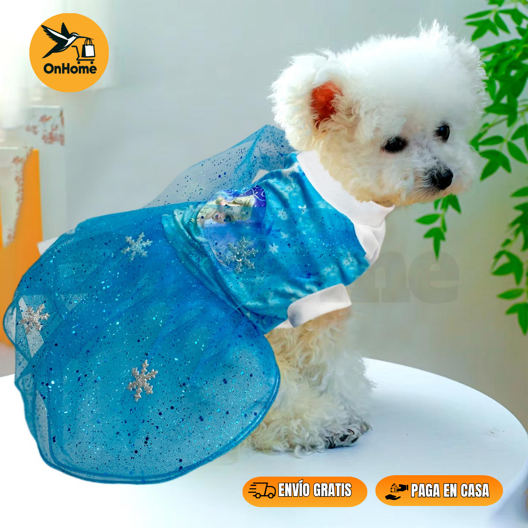 DISFRAZ DE ELSA PARA TUS PELUDITOS 🐱🐶