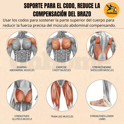 RUEDA ABDOMINAL DOBLE CON TECNOLOGÍA DE REBOTE AUTOMÁTICO