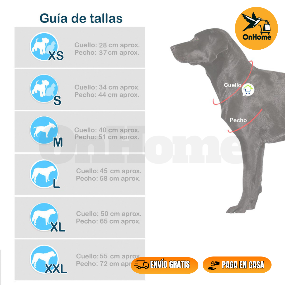 DISFRAZ DE ELSA PARA TUS PELUDITOS 🐱🐶