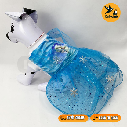 DISFRAZ DE ELSA PARA TUS PELUDITOS 🐱🐶
