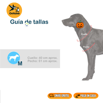 DISFRAZ DE VAQUERO ⭐SHERIFF⭐🐱🐶