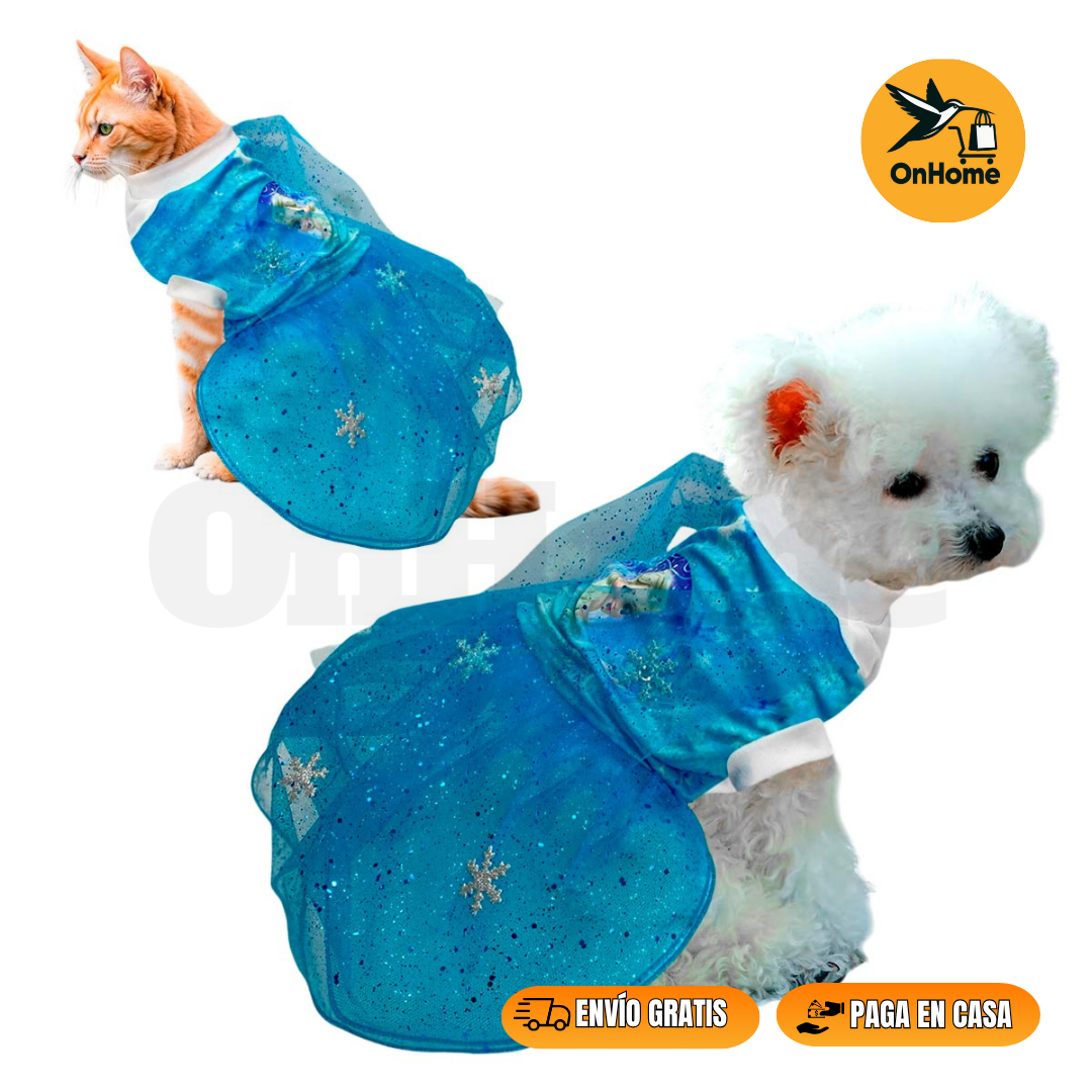 DISFRAZ DE ELSA PARA TUS PELUDITOS 🐱🐶