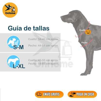 🕸️DISFRAZ DE CHUCKY PARA TUS MASCOTAS 👻(Perros🐶 y Gatos🐱)