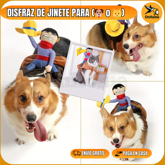DISFRAZ DE JINETE PARA TUS MASCOTAS (🐶🐱)