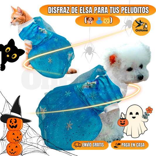 DISFRAZ DE ELSA PARA TUS PELUDITOS 🐱🐶